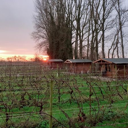 Wijndomein De Vier Ambachten -Overnachten In De Wijngaard Simonshaven Zewnętrze zdjęcie