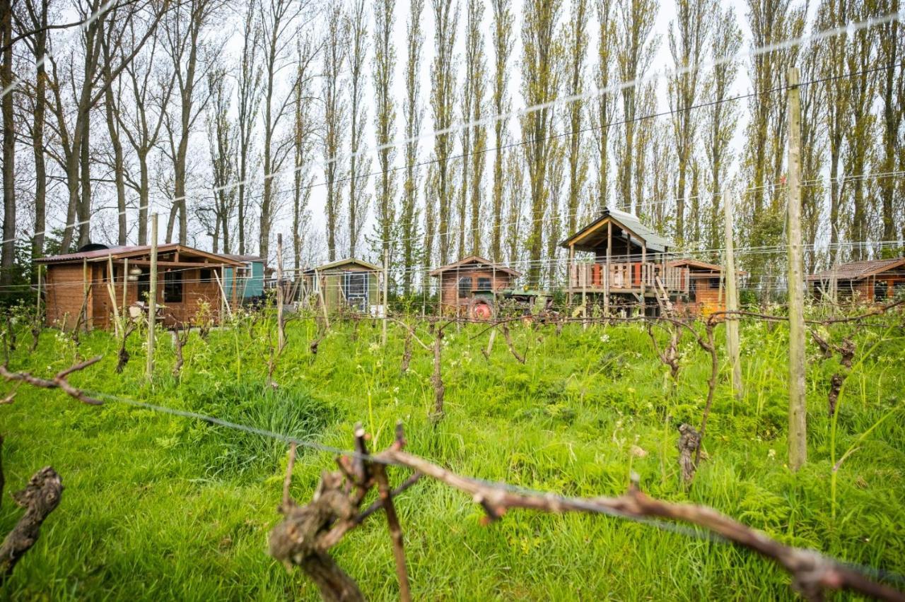 Wijndomein De Vier Ambachten -Overnachten In De Wijngaard Simonshaven Zewnętrze zdjęcie